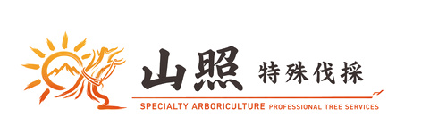 山照